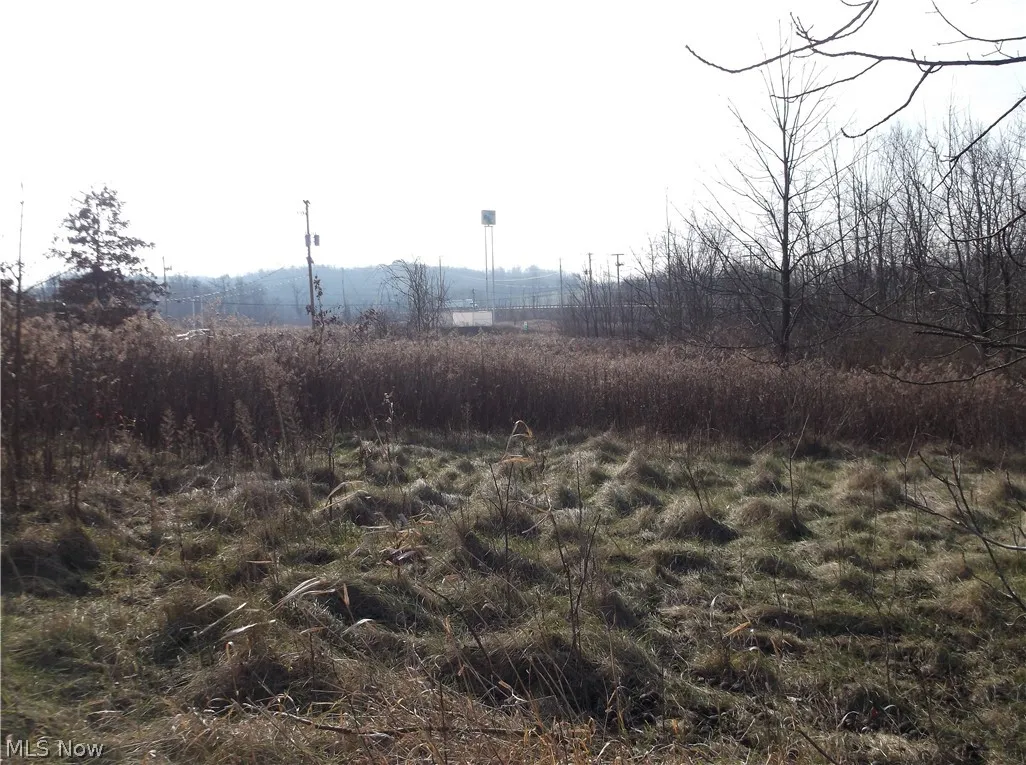 56525 Vocational Road, Buffalo, Ohio 43722,MLS Now Listing ID