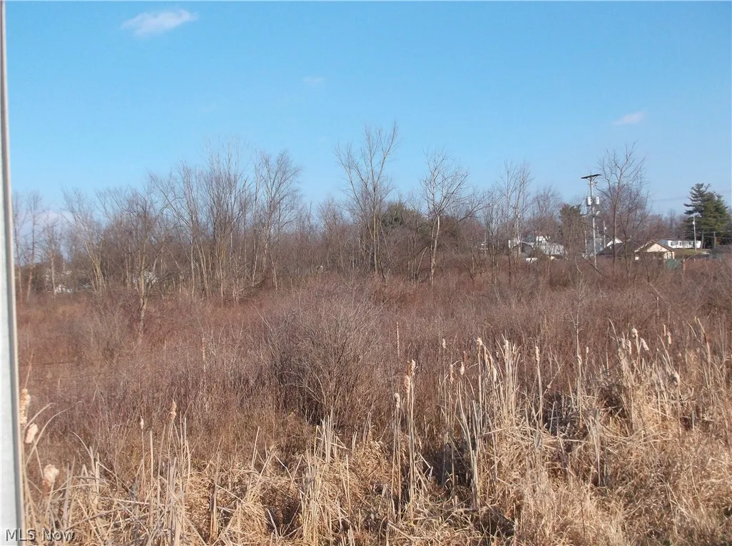 56525 Vocational Road, Buffalo, Ohio 43722,MLS Now Listing ID