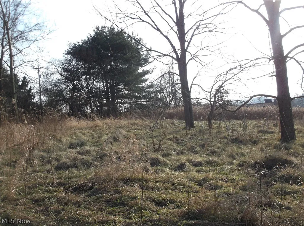 56525 Vocational Road, Buffalo, Ohio 43722,MLS Now Listing ID