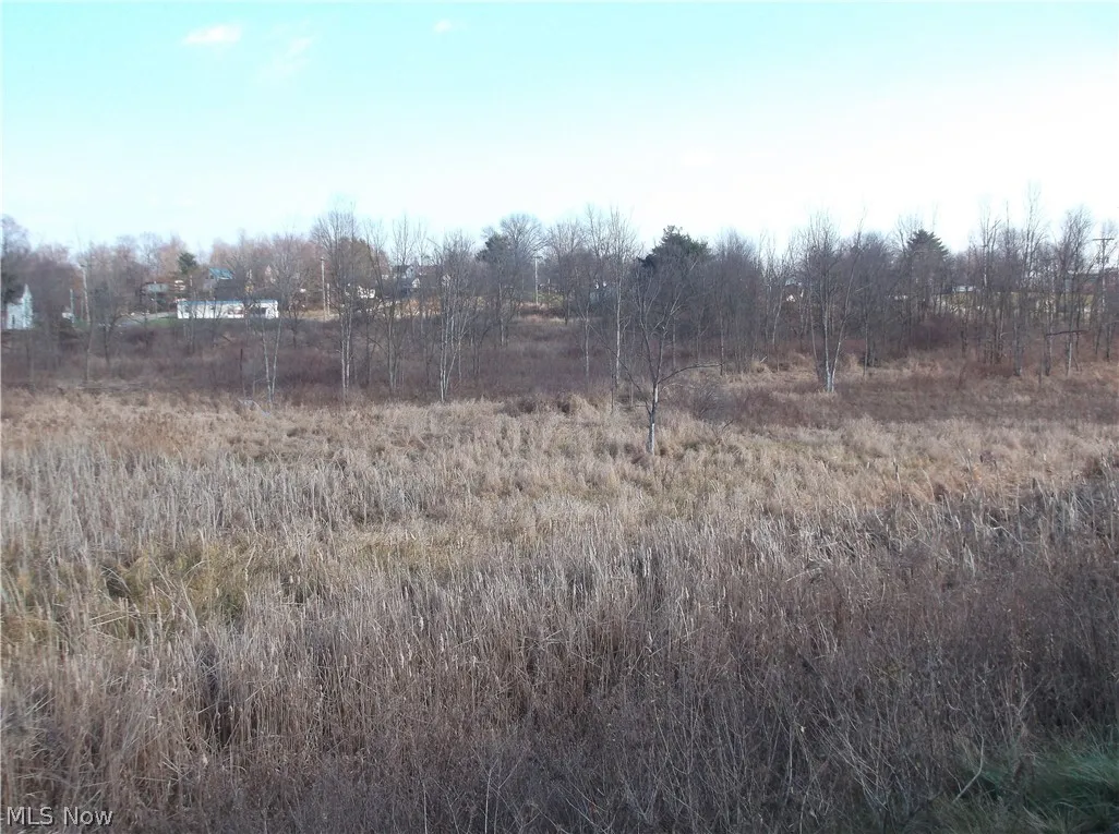 56525 Vocational Road, Buffalo, Ohio 43722,MLS Now Listing ID