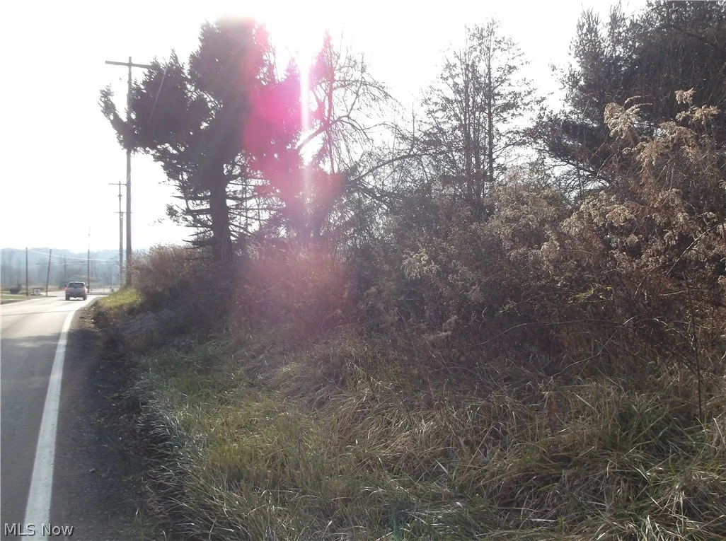 56525 Vocational Road, Buffalo, Ohio 43722,MLS Now Listing ID