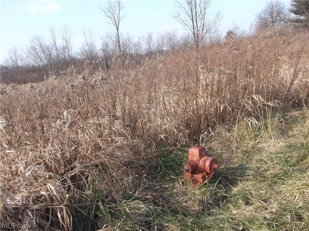 56525 Vocational Road, Buffalo, Ohio 43722,MLS Now Listing ID