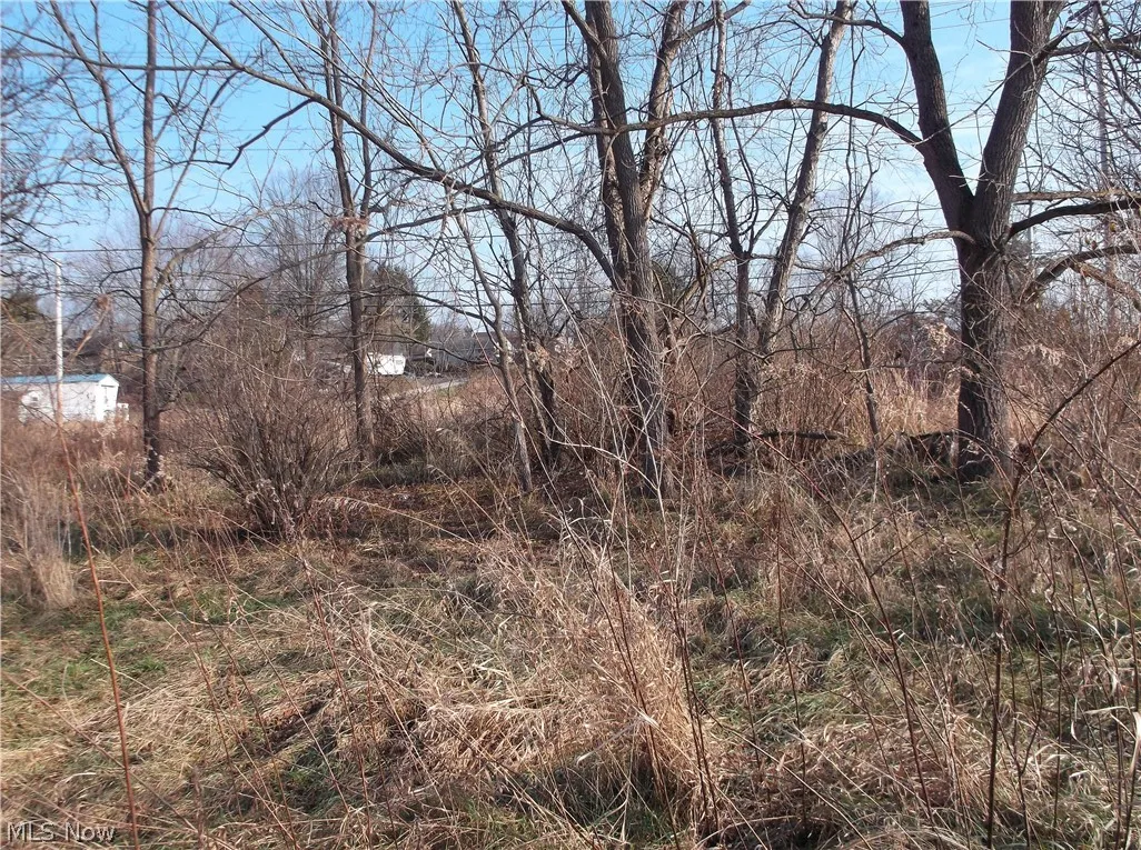 56525 Vocational Road, Buffalo, Ohio 43722,MLS Now Listing ID