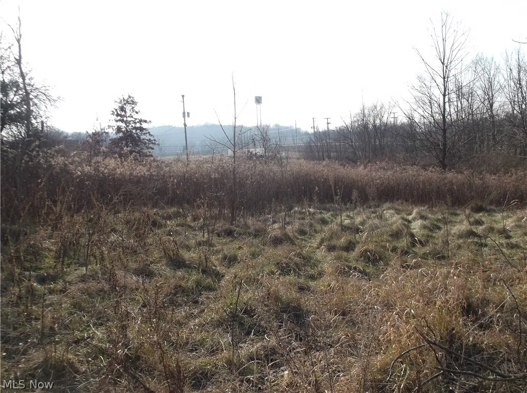 56525 Vocational Road, Buffalo, Ohio 43722,MLS Now Listing ID