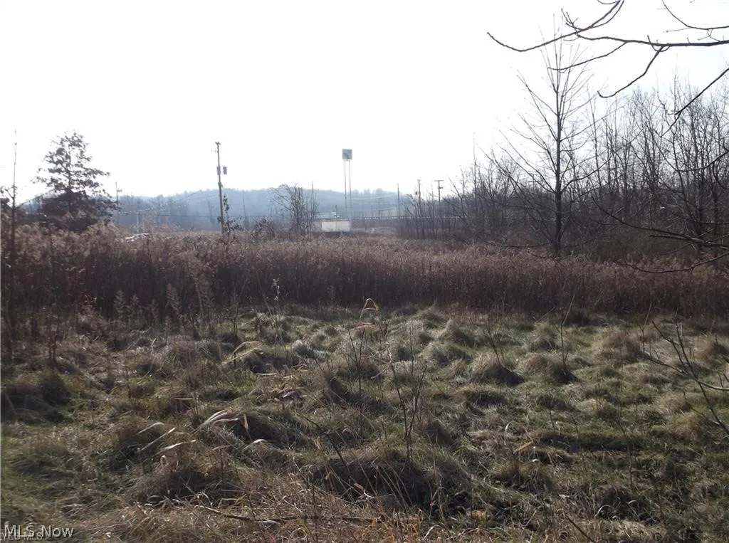 56525 Vocational Rd, Buffalo, Ohio 43722,MLS Now Listing ID