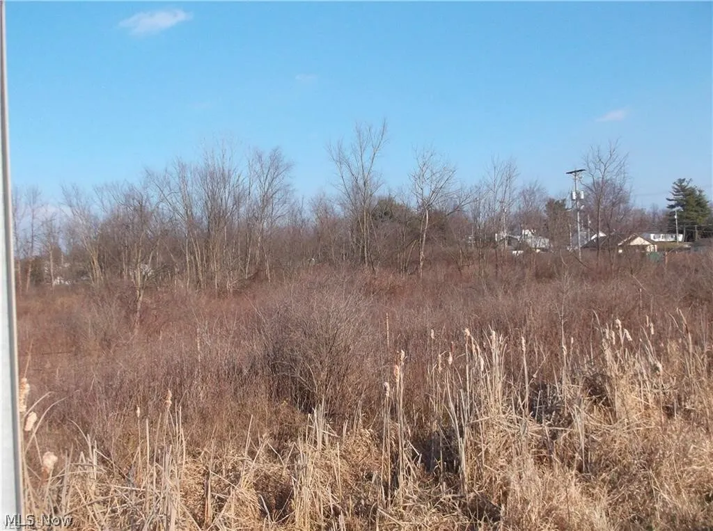 56525 Vocational Rd, Buffalo, Ohio 43722,MLS Now Listing ID