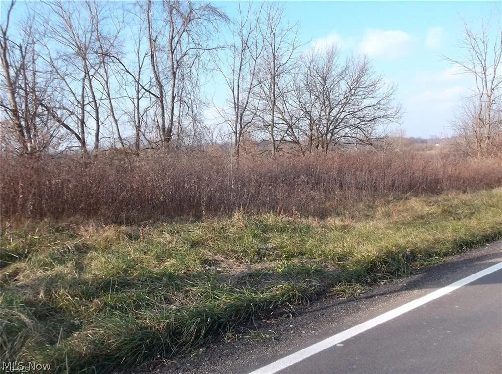 56525 Vocational Rd, Buffalo, Ohio 43722,MLS Now Listing ID