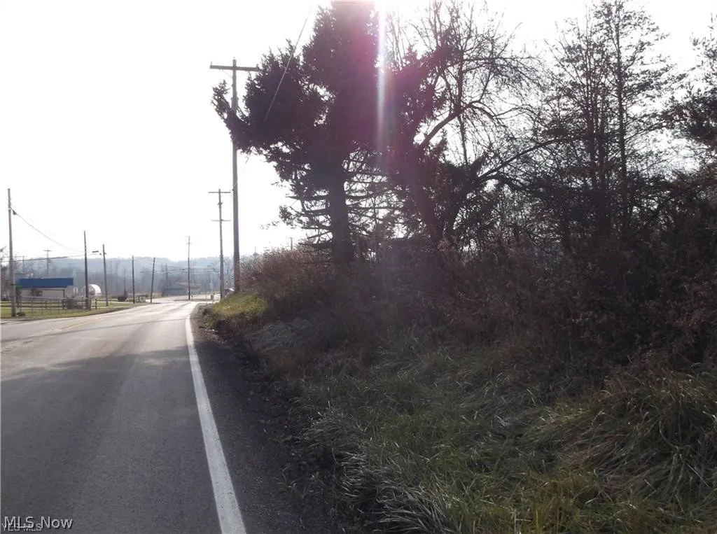 56525 Vocational Rd, Buffalo, Ohio 43722,MLS Now Listing ID