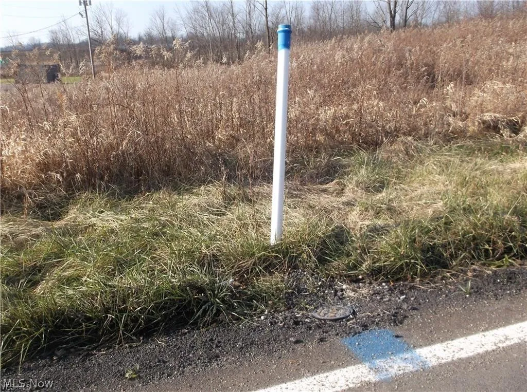 56525 Vocational Rd, Buffalo, Ohio 43722,MLS Now Listing ID