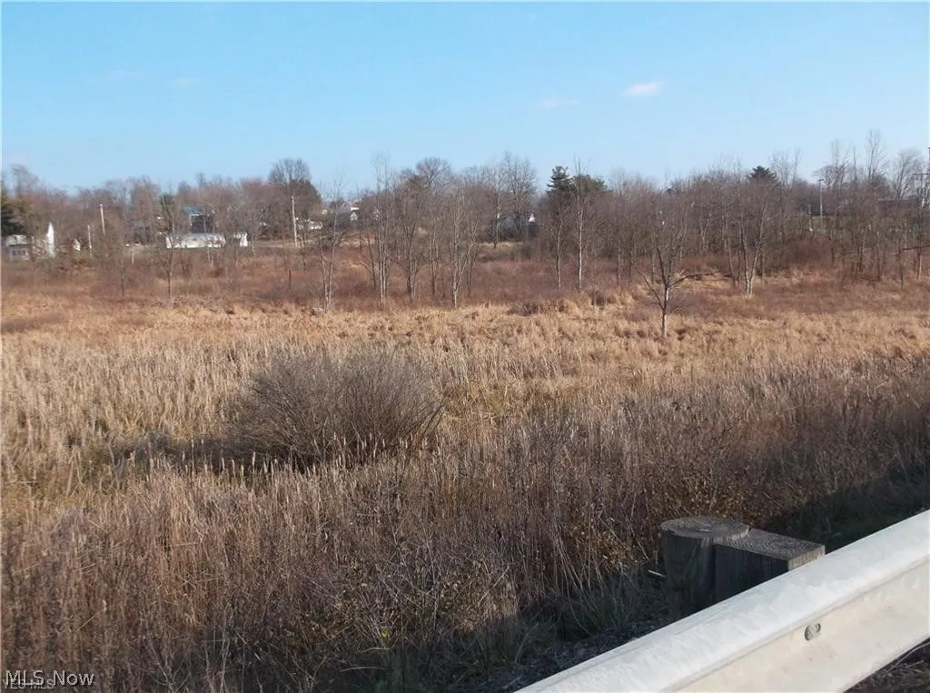 56525 Vocational Rd, Buffalo, Ohio 43722,MLS Now Listing ID