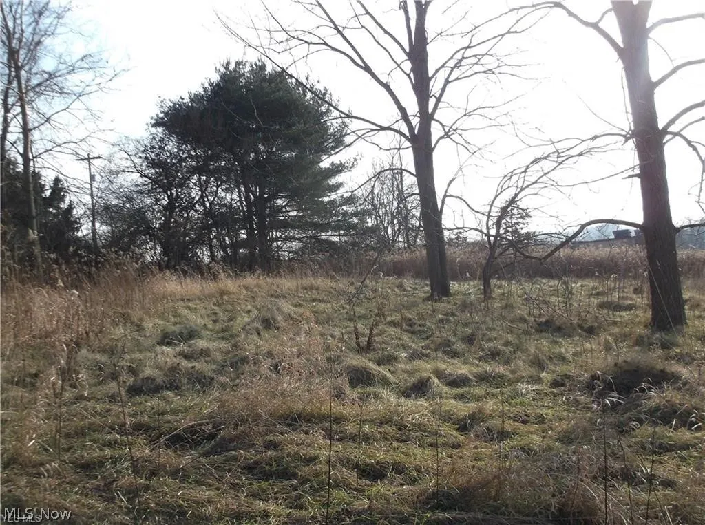 56525 Vocational Rd, Buffalo, Ohio 43722,MLS Now Listing ID