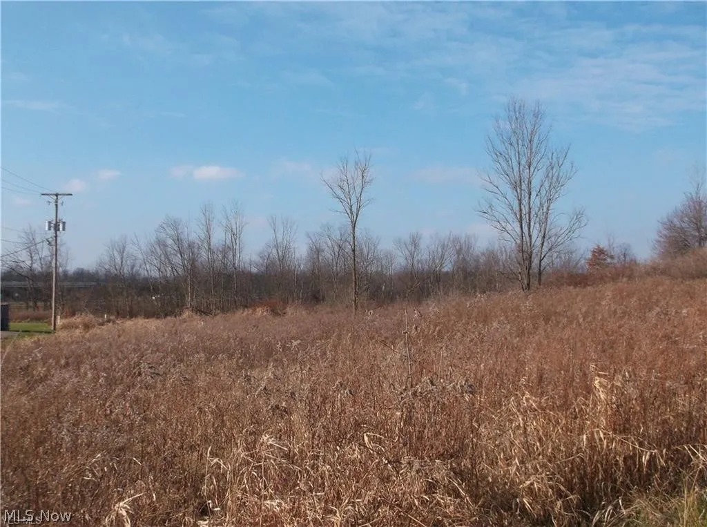 56525 Vocational Rd, Buffalo, Ohio 43722,MLS Now Listing ID