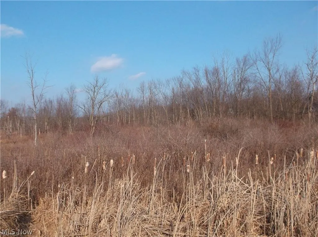 56525 Vocational Rd, Buffalo, Ohio 43722,MLS Now Listing ID