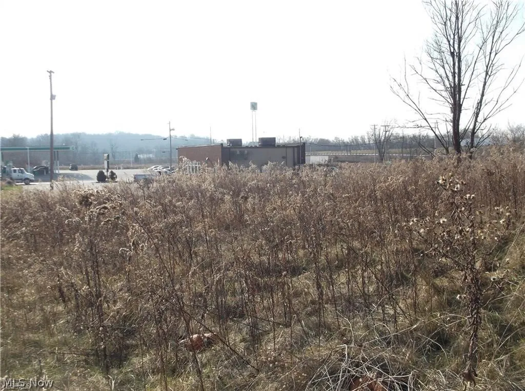 56525 Vocational Rd, Buffalo, Ohio 43722,MLS Now Listing ID