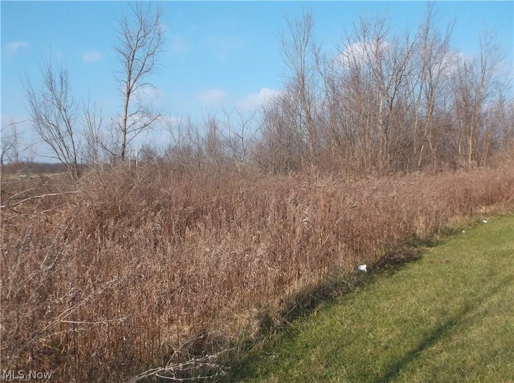 56525 Vocational Rd, Buffalo, Ohio 43722,MLS Now Listing ID