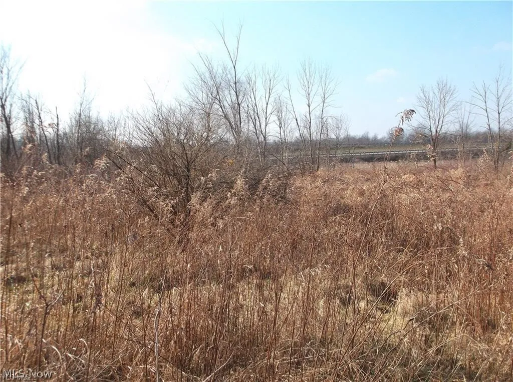 56525 Vocational Rd, Buffalo, Ohio 43722,MLS Now Listing ID