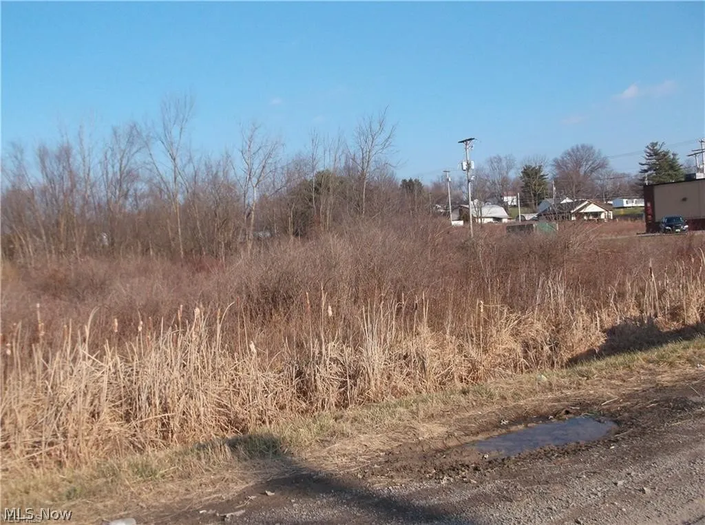 56525 Vocational Rd, Buffalo, Ohio 43722,MLS Now Listing ID