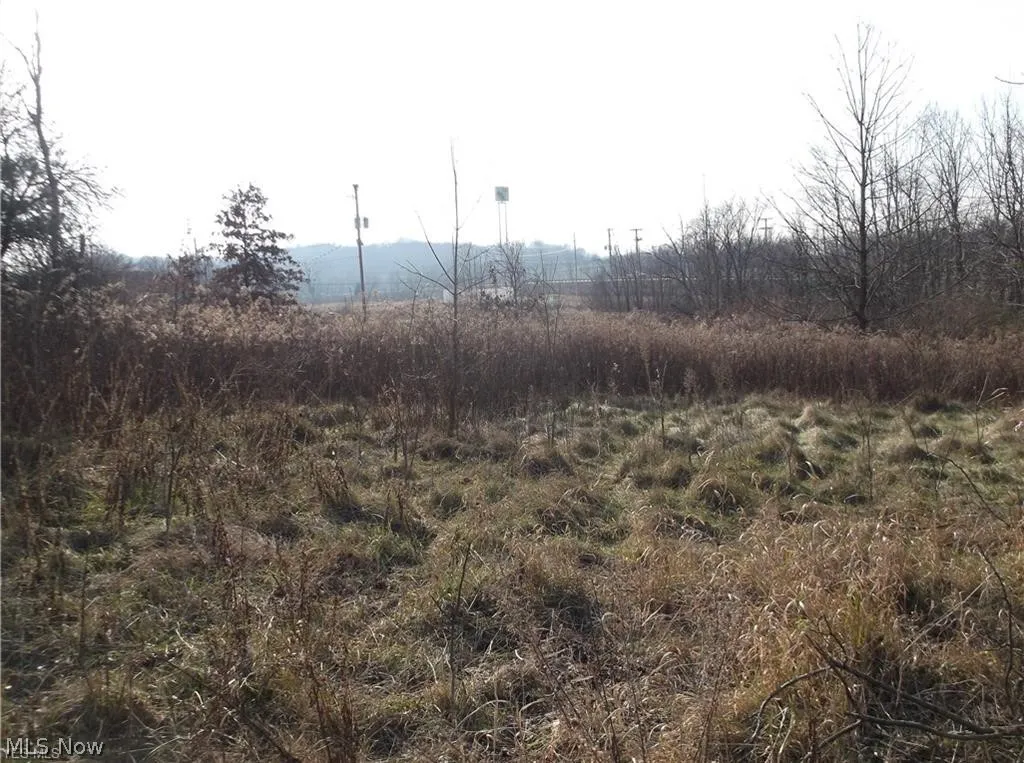 56525 Vocational Rd, Buffalo, Ohio 43722,MLS Now Listing ID