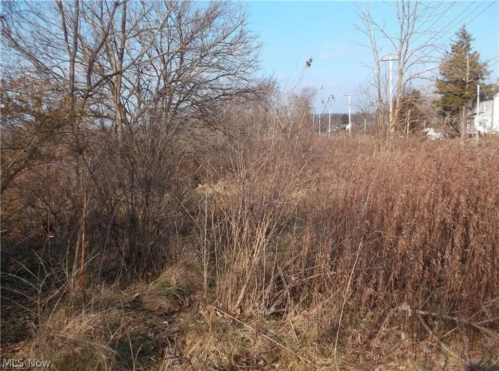 56525 Vocational Rd, Buffalo, Ohio 43722,MLS Now Listing ID