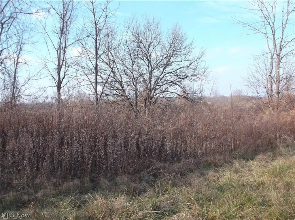 56525 Vocational Rd, Buffalo, Ohio 43722,MLS Now Listing ID