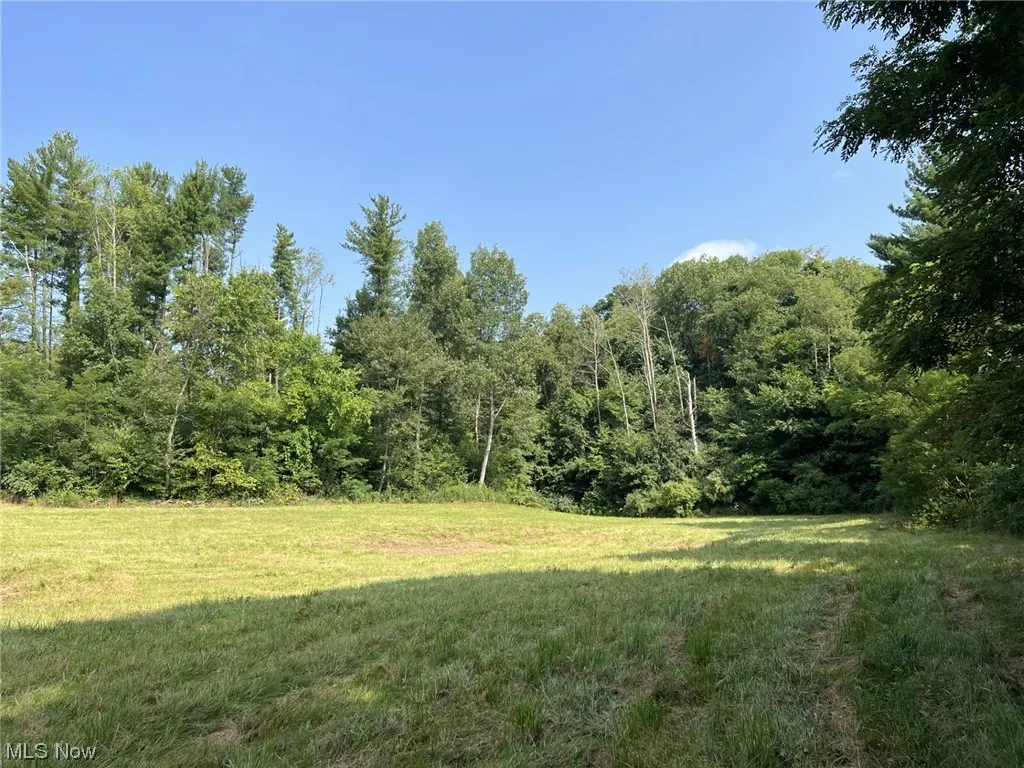 44876 State Route 517, Columbiana, Ohio,MLS Now Listing ID