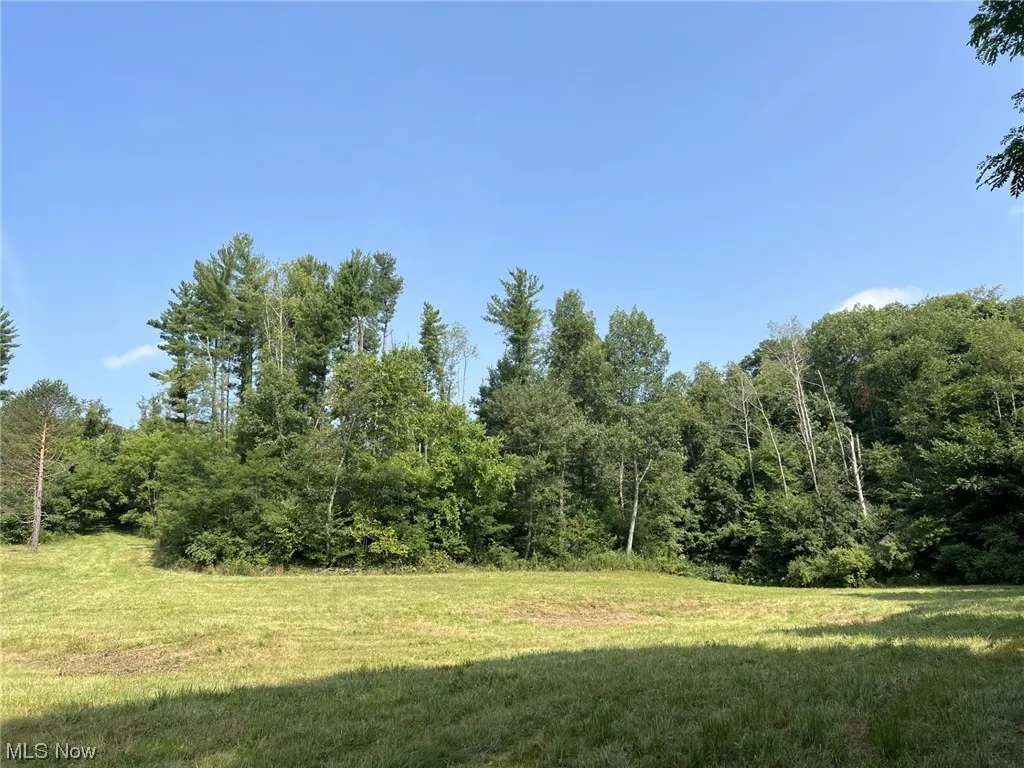44876 State Route 517, Columbiana, Ohio,MLS Now Listing ID