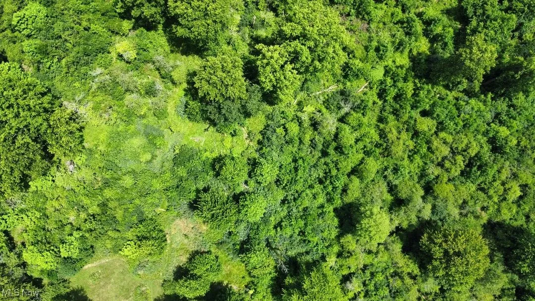Aerial overview of property's location