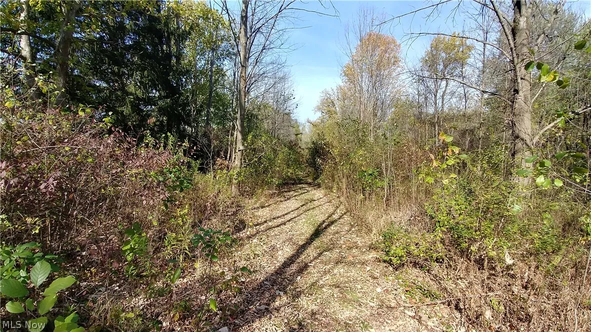 Aurora Hill Drive, Aurora, Ohio,MLS Now Listing ID