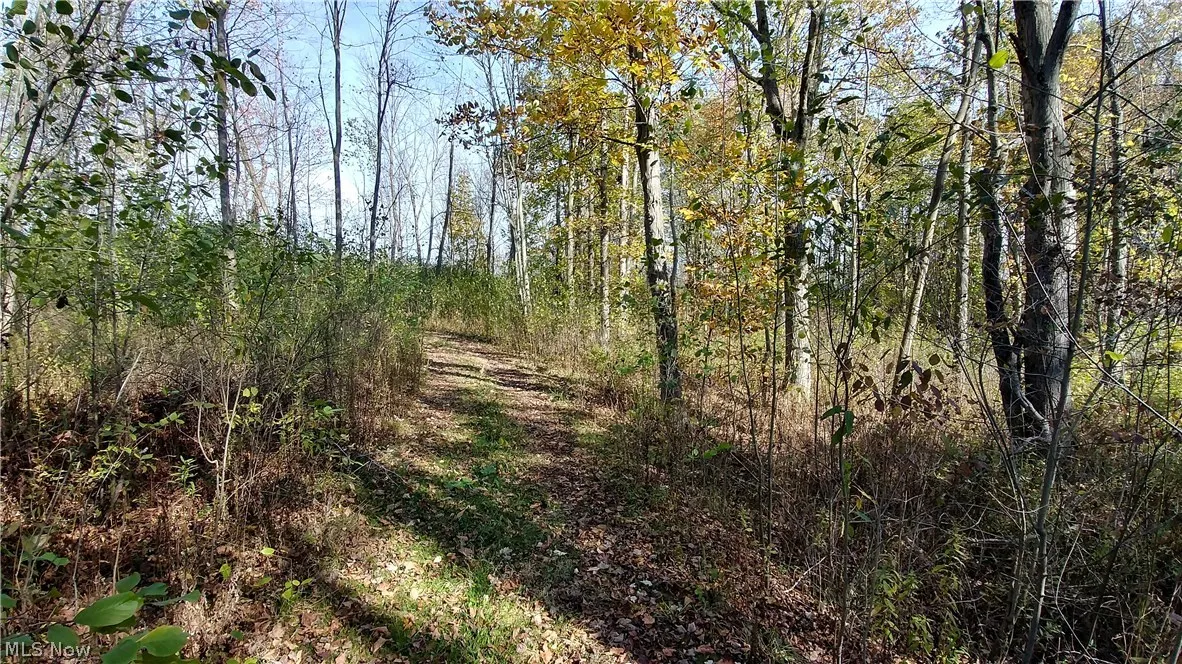 Aurora Hill Drive, Aurora, Ohio,MLS Now Listing ID