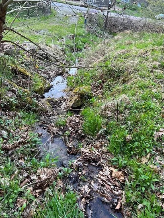 View of nature