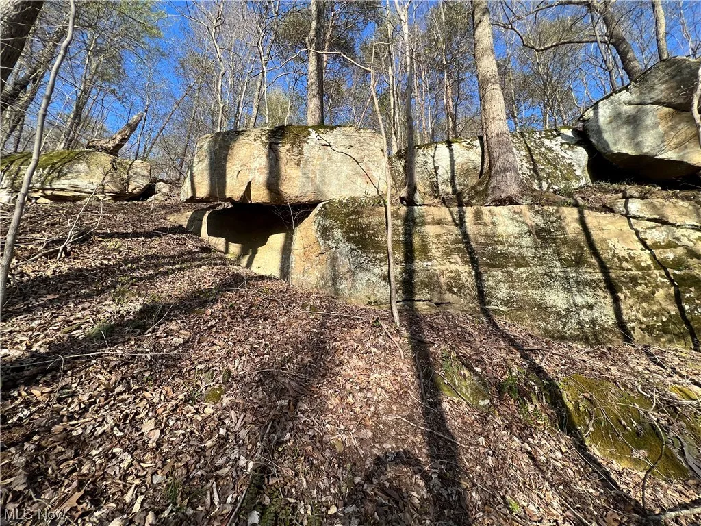8872 Big Island Run, Petroleum, West Virginia,MLS Now Listing ID