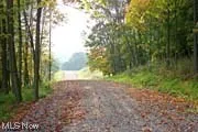 Beautiful Drive