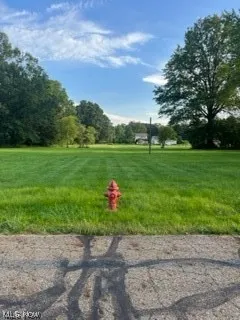 View of nearby features featuring a lawn