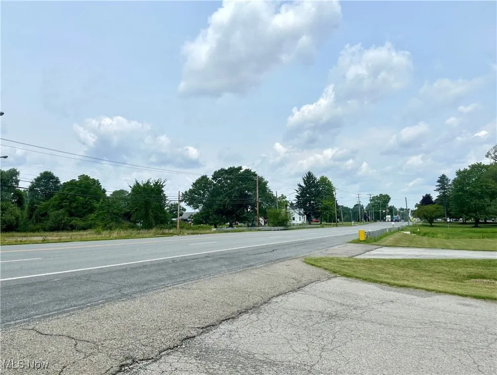 View north towards Salt Springs