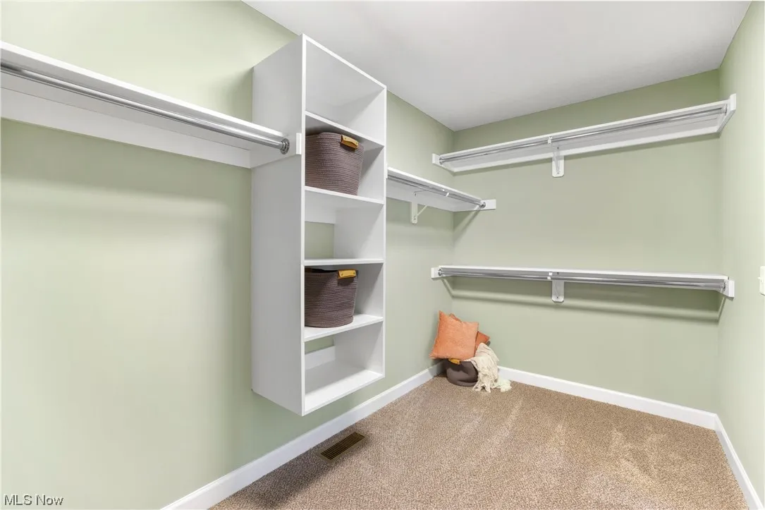 Spacious closet featuring carpet