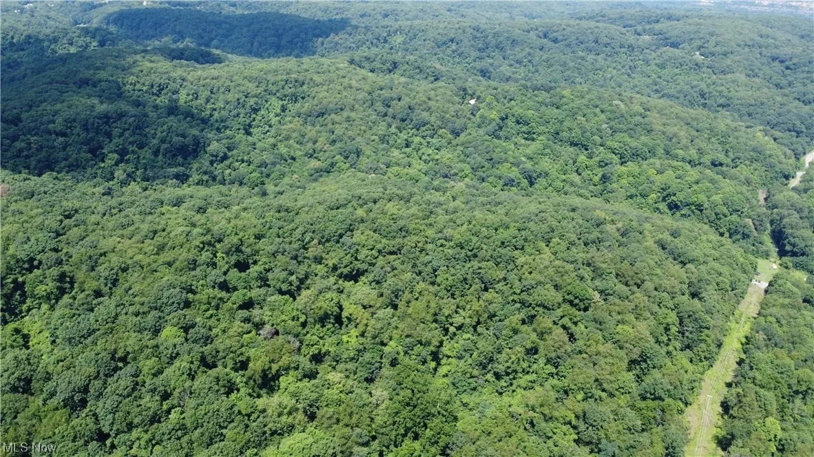 View of drone / aerial view