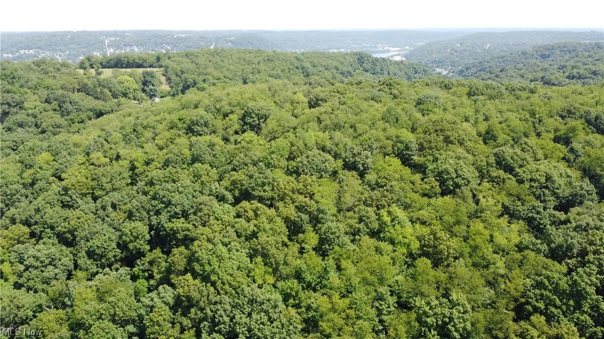 View of bird's eye view