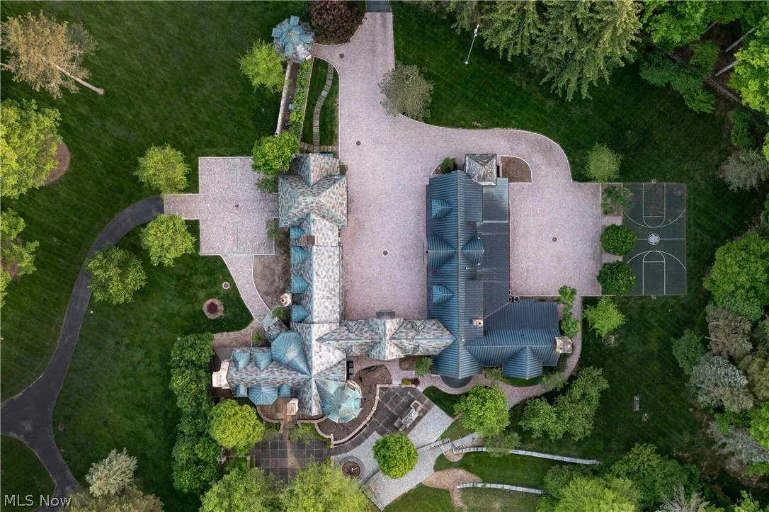 View of bird's eye view