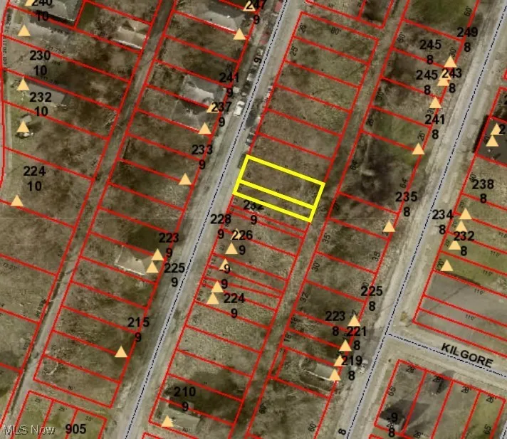 Lots are highlighted in yellow