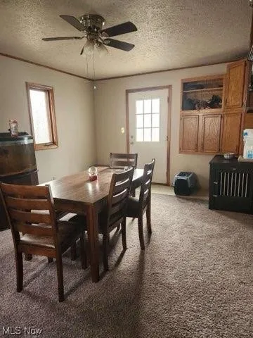 Carpeted dining space featuring ceiling fan and a textured ceiling