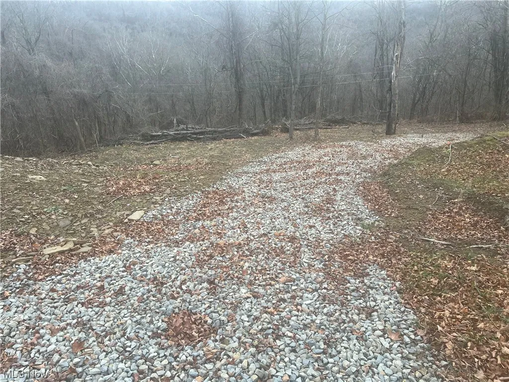 View of road