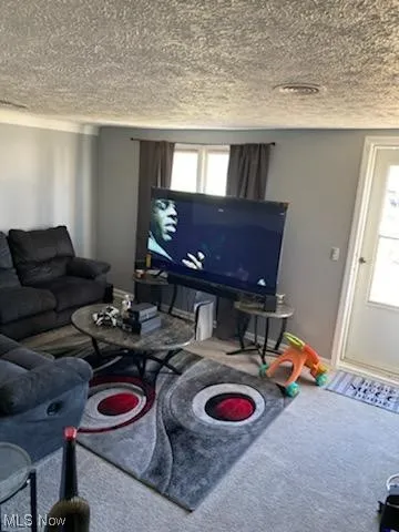 Living room featuring a textured ceiling and carpet floors