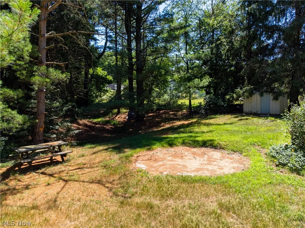 View of yard featuring a storage unit