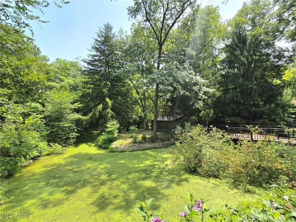 4810 Hickory Road, West Farmington, Ohio 44491,MLS Now Listing ID