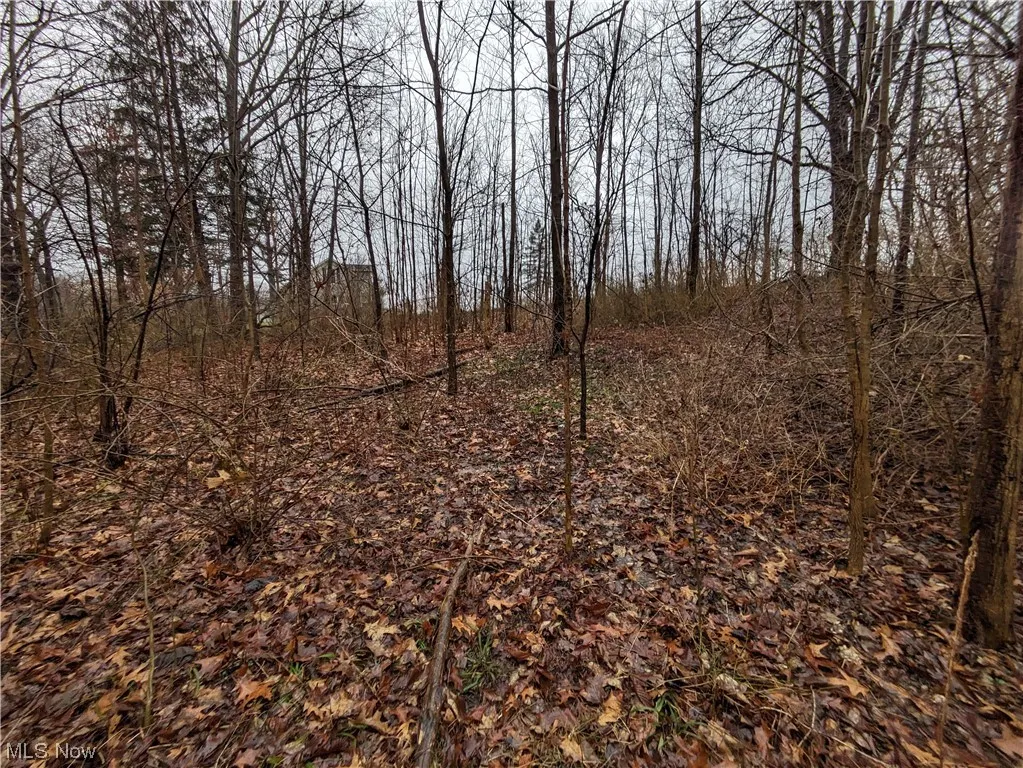 26 Grand Valley, Orwell, Ohio,MLS Now Listing ID