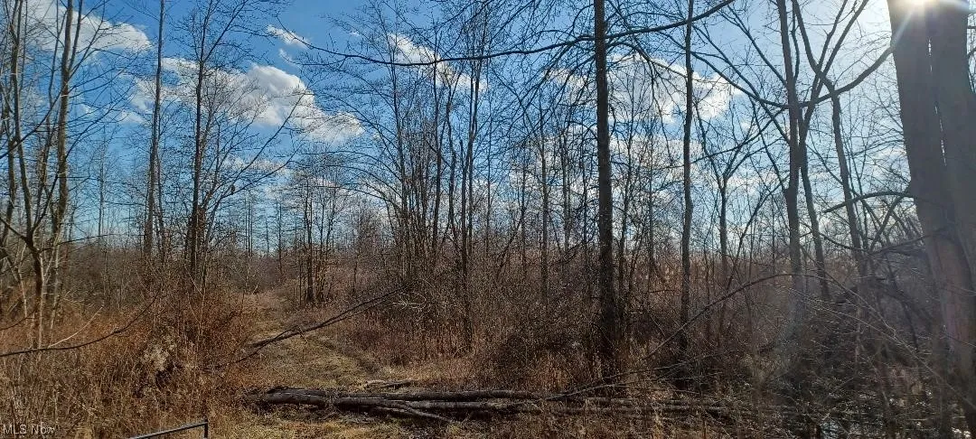 View of mother earth's splendor. Can you find the hawk?