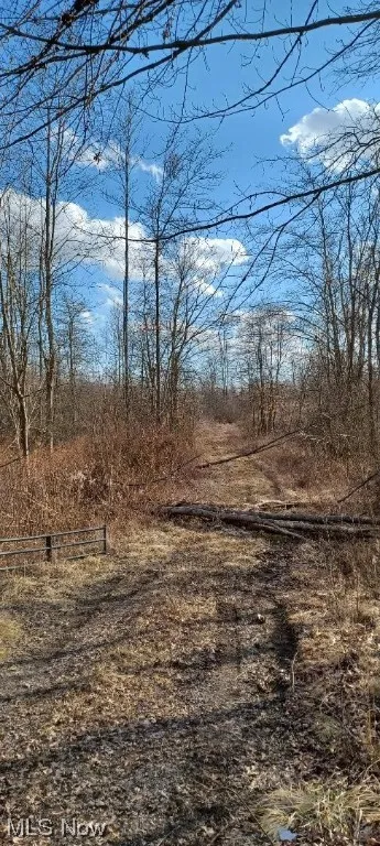 View of nature
