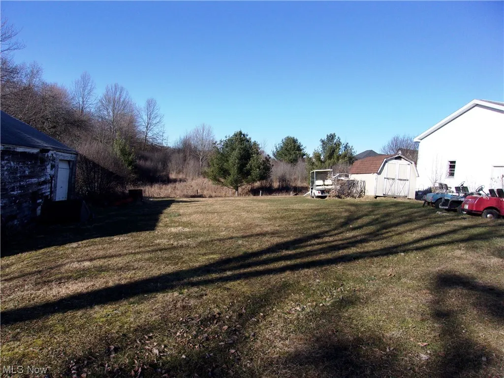 View of yard featuring a shed