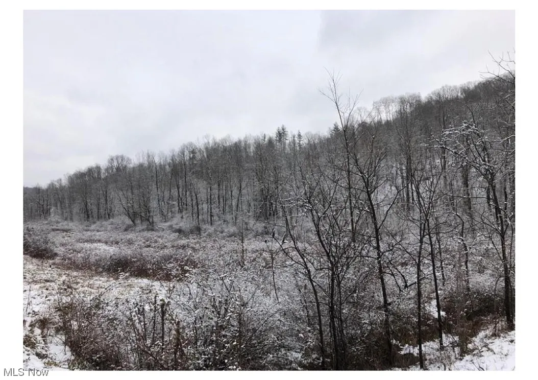 Salt Run Road, Caldwell, Ohio,MLS Now Listing ID
