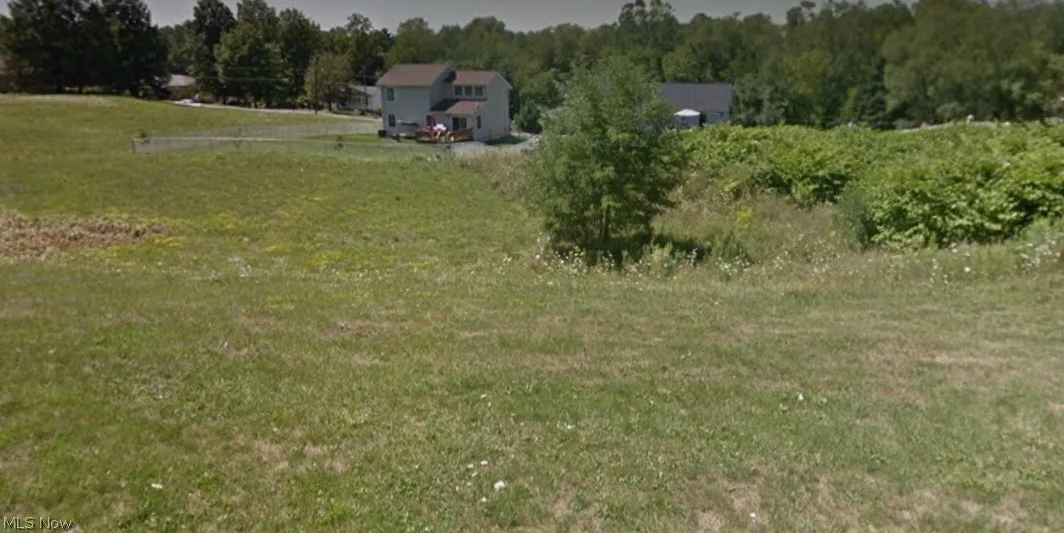 Springdale Avenue, Wintersville, Ohio,MLS Now Listing ID